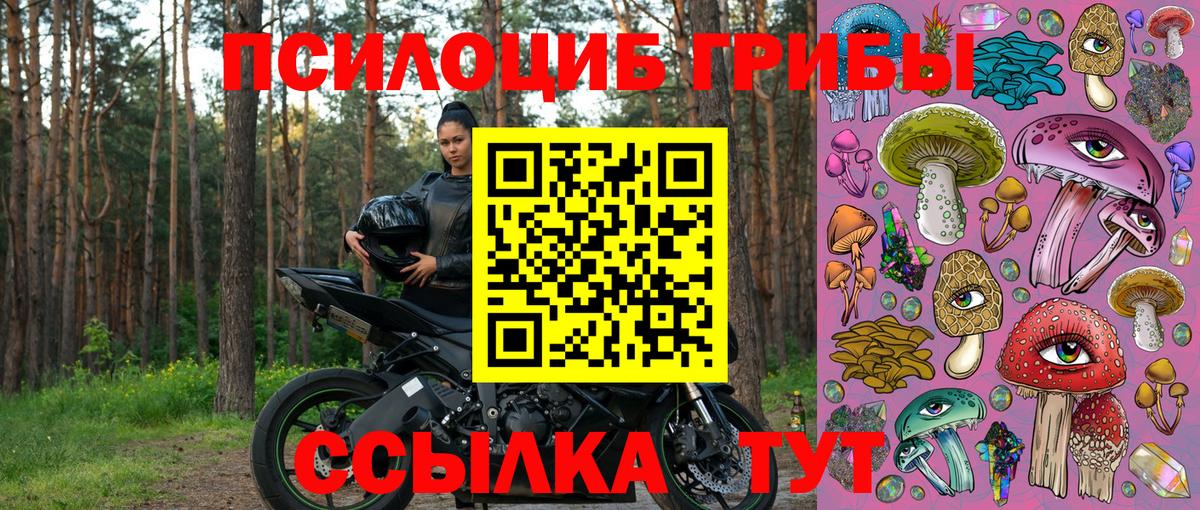 Псилоцибиновые грибы ЛСД  Псилоцибиновые грибы Cubensis  Лесозаводск  Вход с VPN 